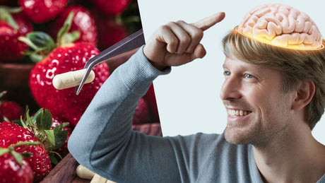 5 Ways Fisetin May Transform Your Brain Health After 40