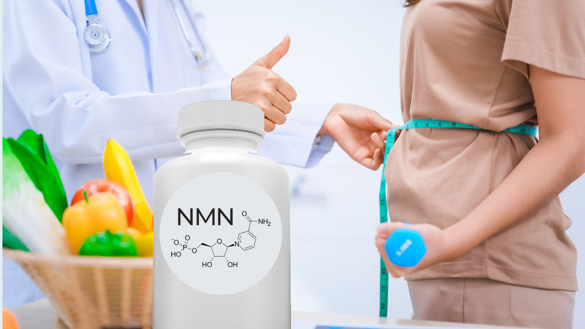 Can NMN Help with Metabolism and Weight Management?