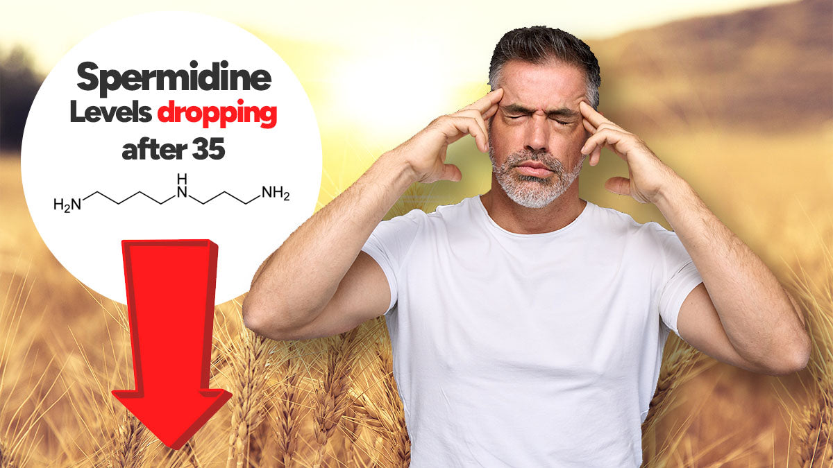 Why Your Spermidine Levels Drop After 35 (And What You Can Do About It)