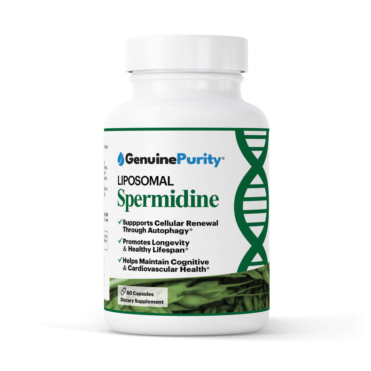 Liposomal Spermidine