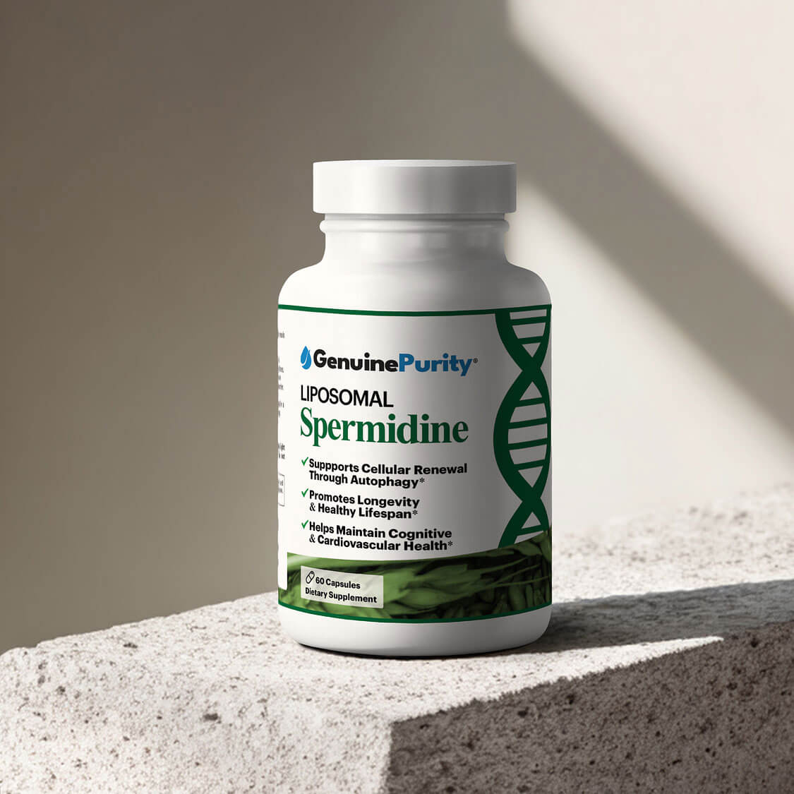 Liposomal Spermidine