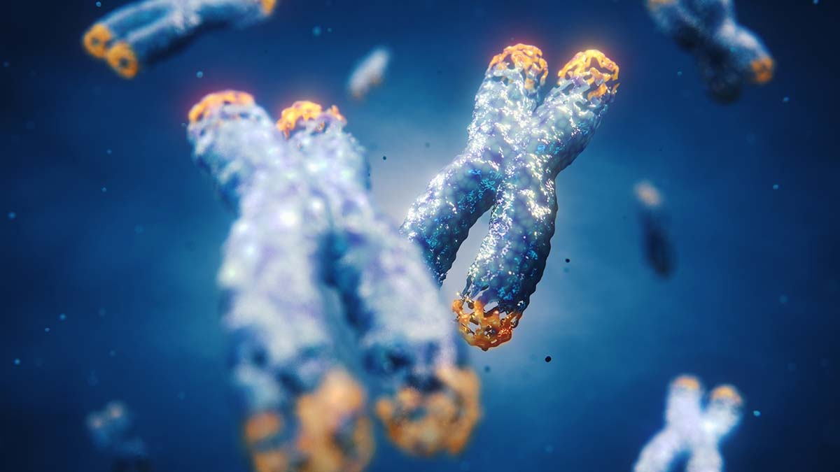 Telomere Length and Its Effect on Health and Aging