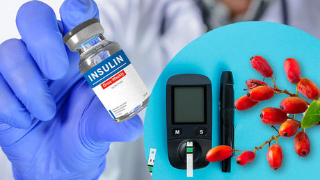 Insulin Resistance Explained: Can Berberine Help Improve Insulin Sensitivity?