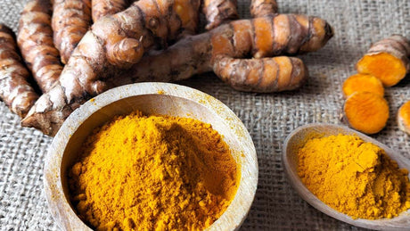 Golden Spice Gold Standard: Why Turmeric Is Essential for Joint & Digestive Health