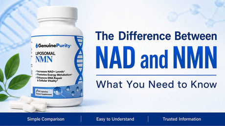 The Difference Between NAD and NMN