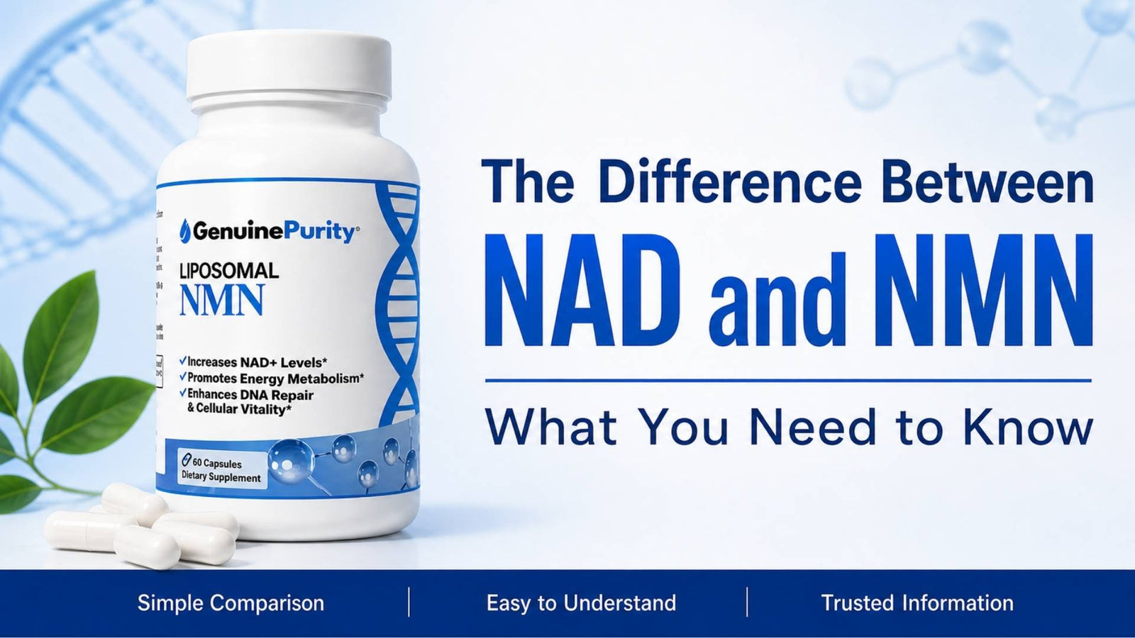 The Difference Between NAD and NMN