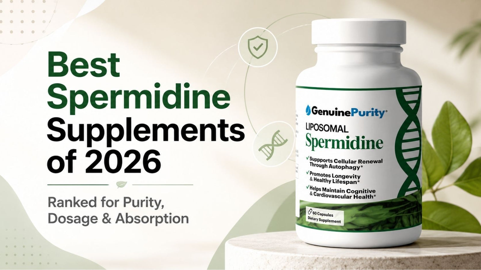 Top 5 Best Spermidine Supplements to Boost Your Health