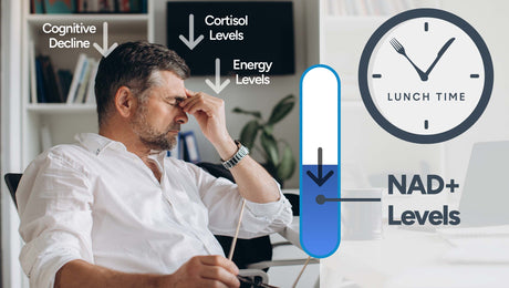 Afternoon Brain Fog After 40: The Cellular Energy Explanation