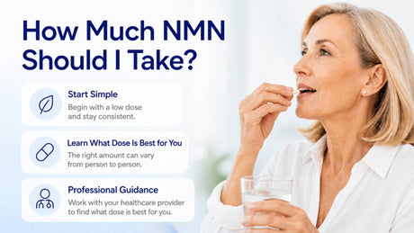 How Much NMN Should I Take?