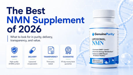 The Best NMN Supplement of 2026