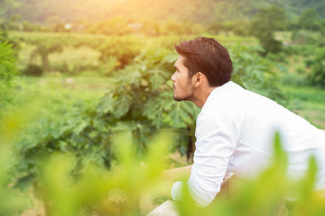 Why Your NMN Might Not Be Working as Hard as It Could: The Methylation Connection