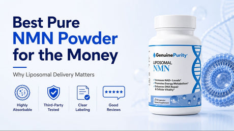 What Is The Best Pure NMN Powder For The Money?