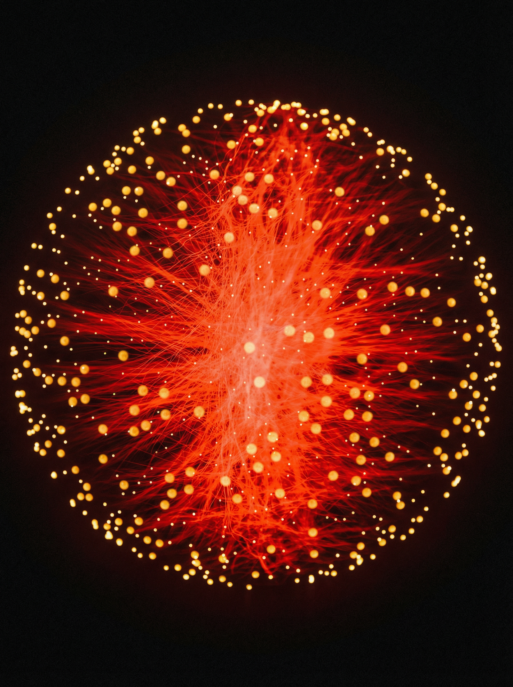 Journal of Nutritional Science and Vitaminology, Tokyo, Japan, 2016