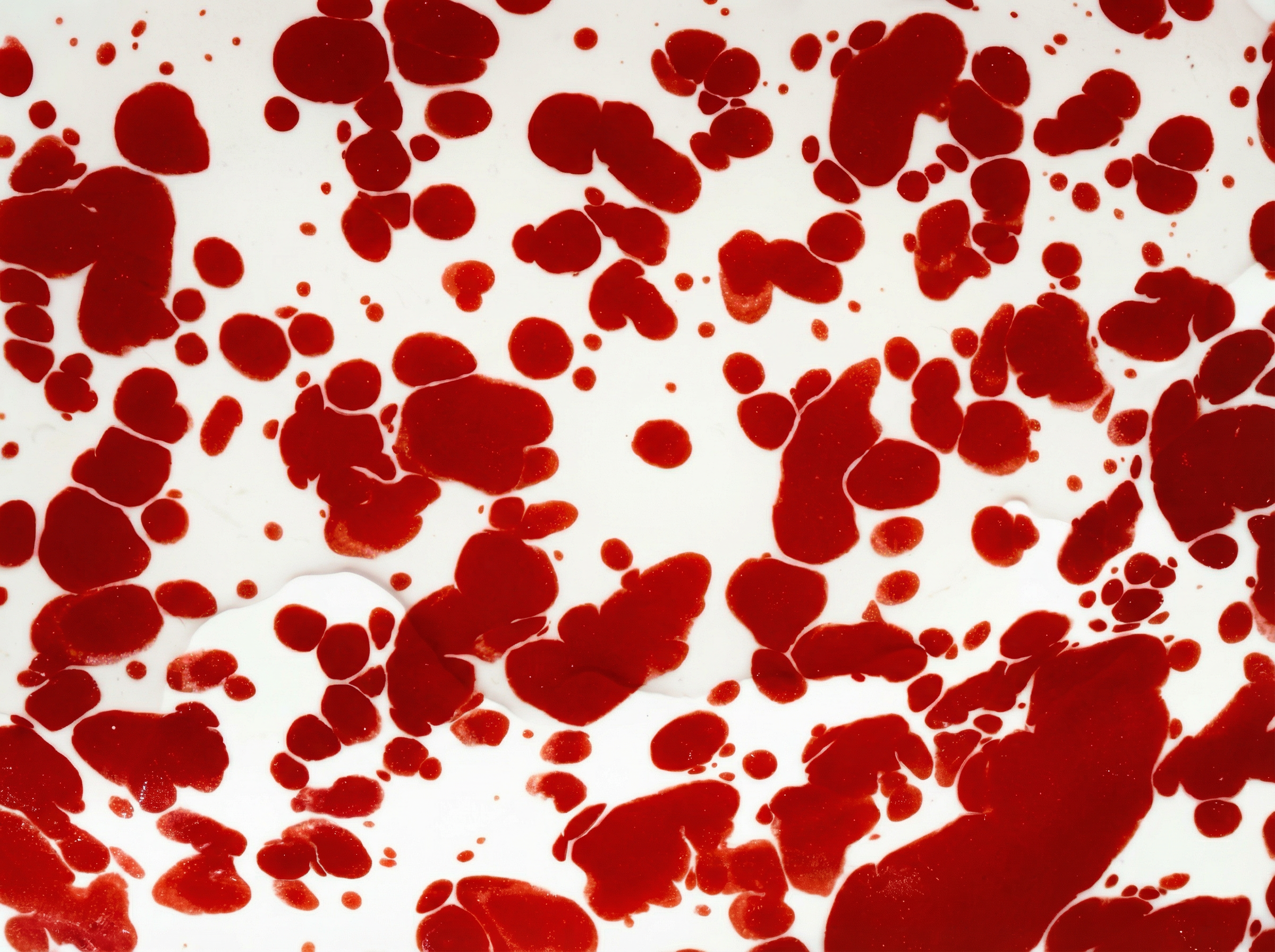  Frontiers in Cell and Developmental Biology