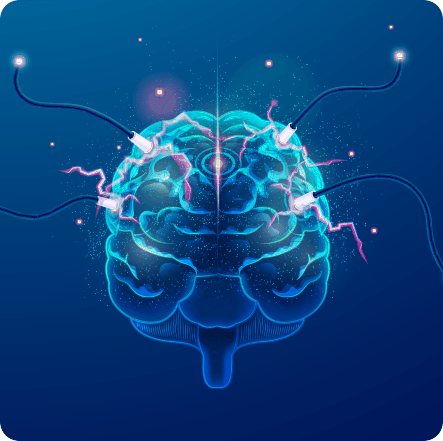 GenuinePurity Fisetin Neurotrophic Efftects Of BDNF Protein