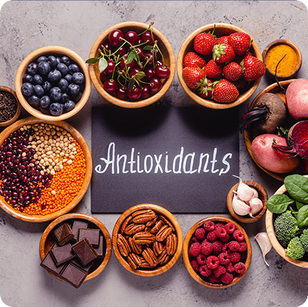 GenuinePurity Fisetin Antioxidant Properties