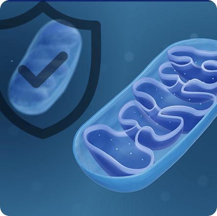 GenuinePurity