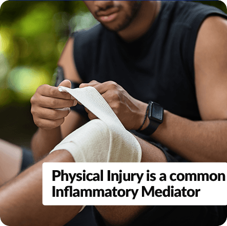 GenuinePurity Fisetin - Physical injury is a common inflammatory Mediator