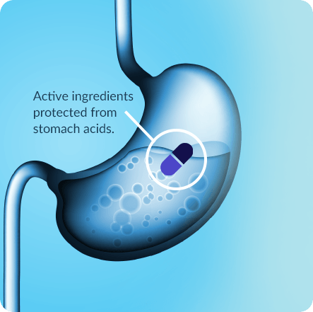 GenuinePurity Longevity+