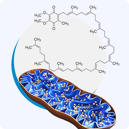 GenuinePurity Longevity+
