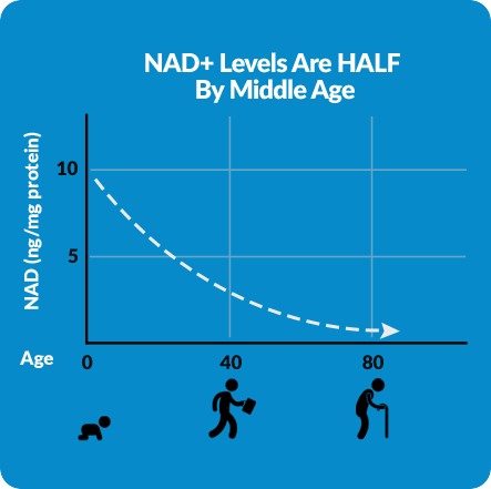 NAD+ Levels Decrease Over Time