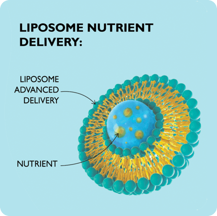 Liposome Nutriet Advance Delivery System