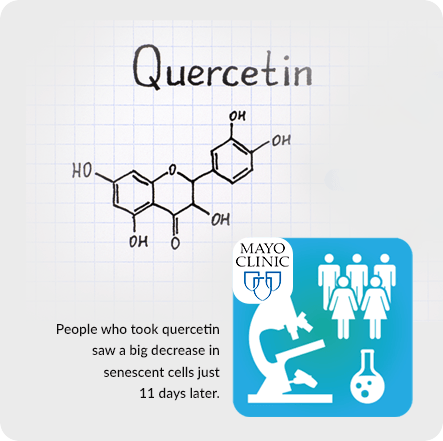 GenuinePurity Quercetin