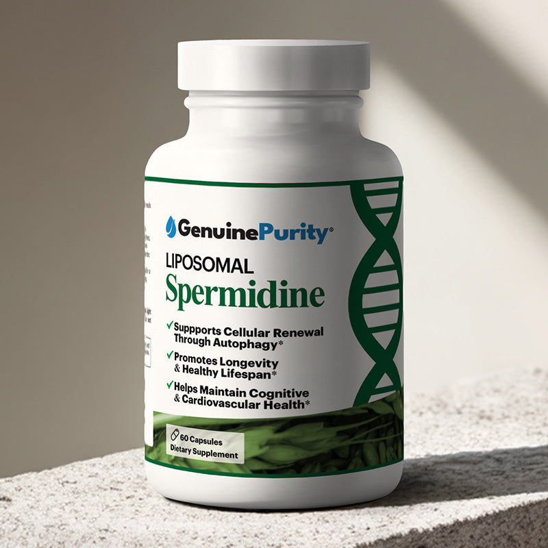 Liposomal Spermidine