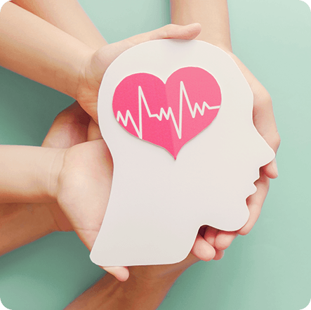 Neurological Health - GenuinePurity Fisetin