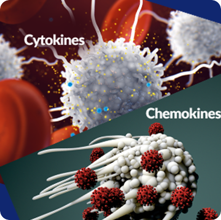 GenuinePurity Liposomal Fisetin
