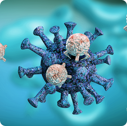 Anti-Inflammatory Effects - GenuinePurity Liposomal Fisetin