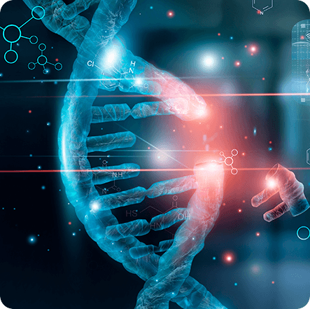 Autophagy andCellular Health - GenuinePurity Spermidine