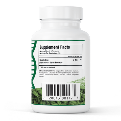 Liposomal Spermidine