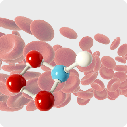 Possible To Boost Your NAD+ Levels