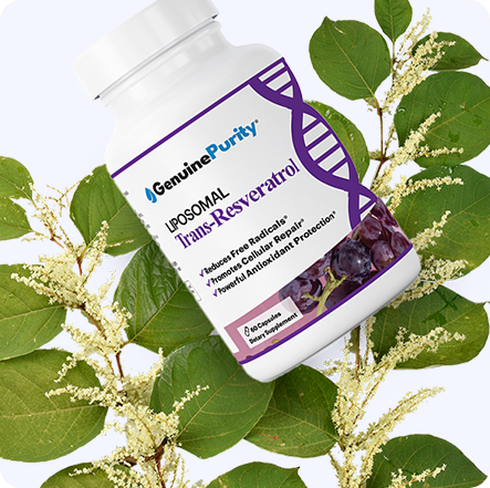 Possible To Boost Your NAD+ Levels
