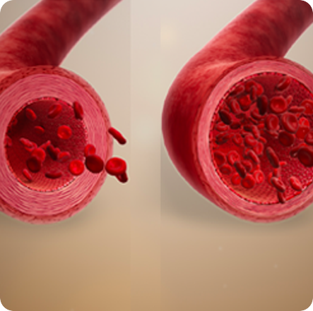 Liposomal NMN is a Safe & Effective NAD+ Boosting Breakthrough