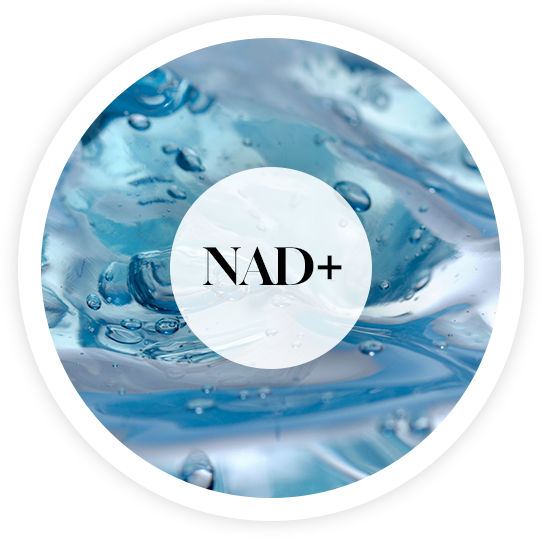 nad-plus