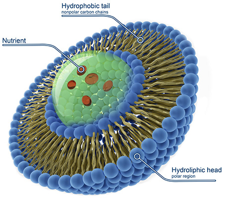 lipsomal-technology