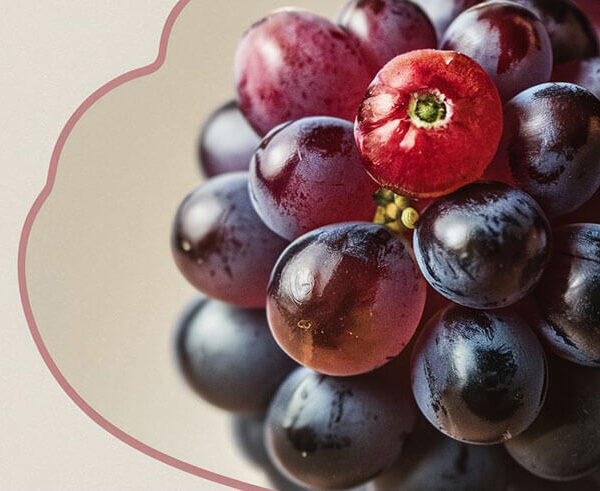 Cluster of grapes