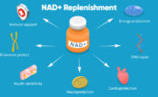 The Critical Role of NAD+ Replenishment in Aging: Exploring NMNH as a Promising Solution