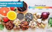 The Vital Importance of Maintaining Healthy Cortisol Levels